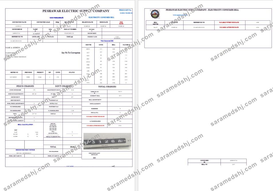 PAKISTAN PESHAWAR ELECTRIC SUPPLY COMPANY business utility bill Word and PDF template